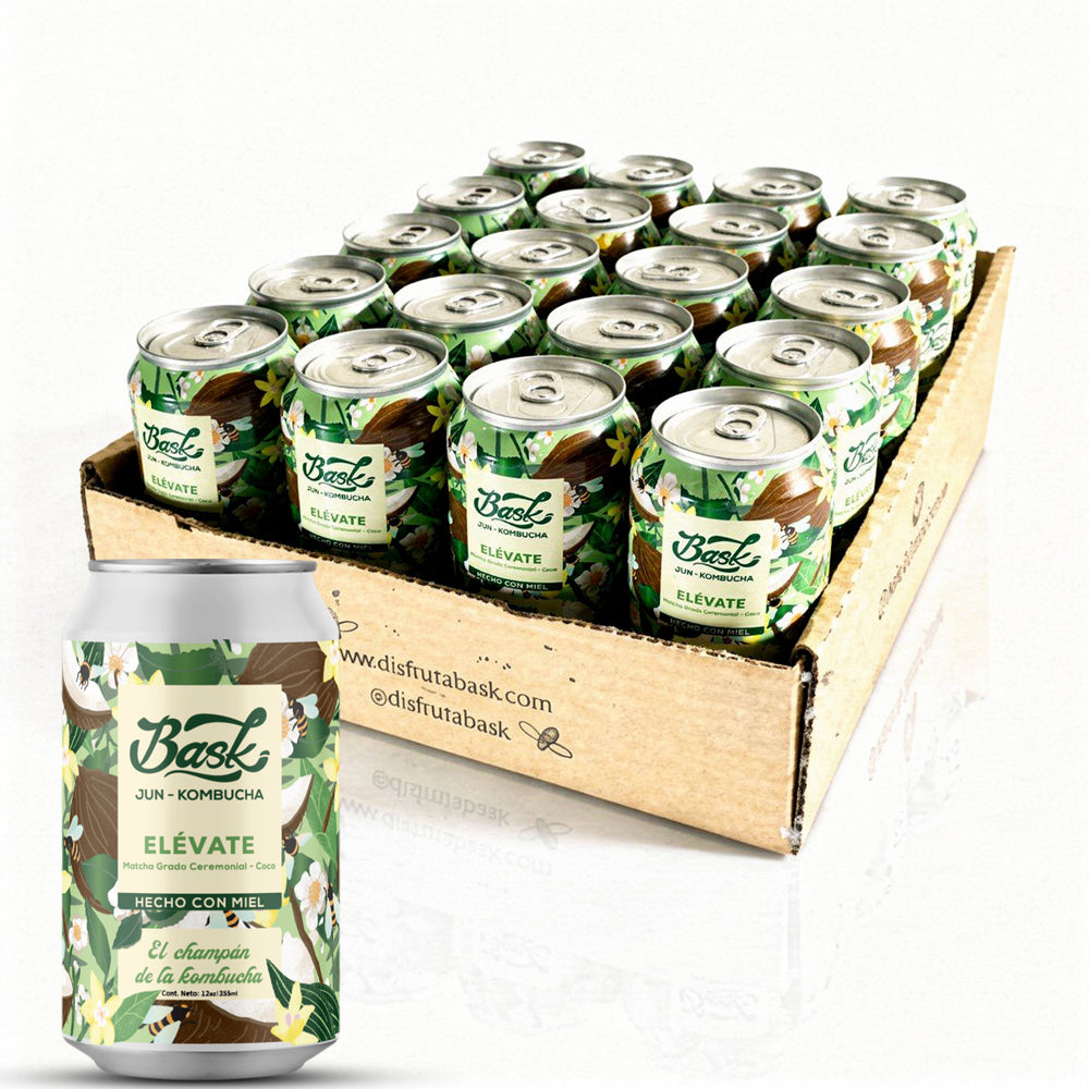 Elévate Jun Kombucha de Matcha Grado Ceremonial con Coco 355ml - Pack de 24 latas