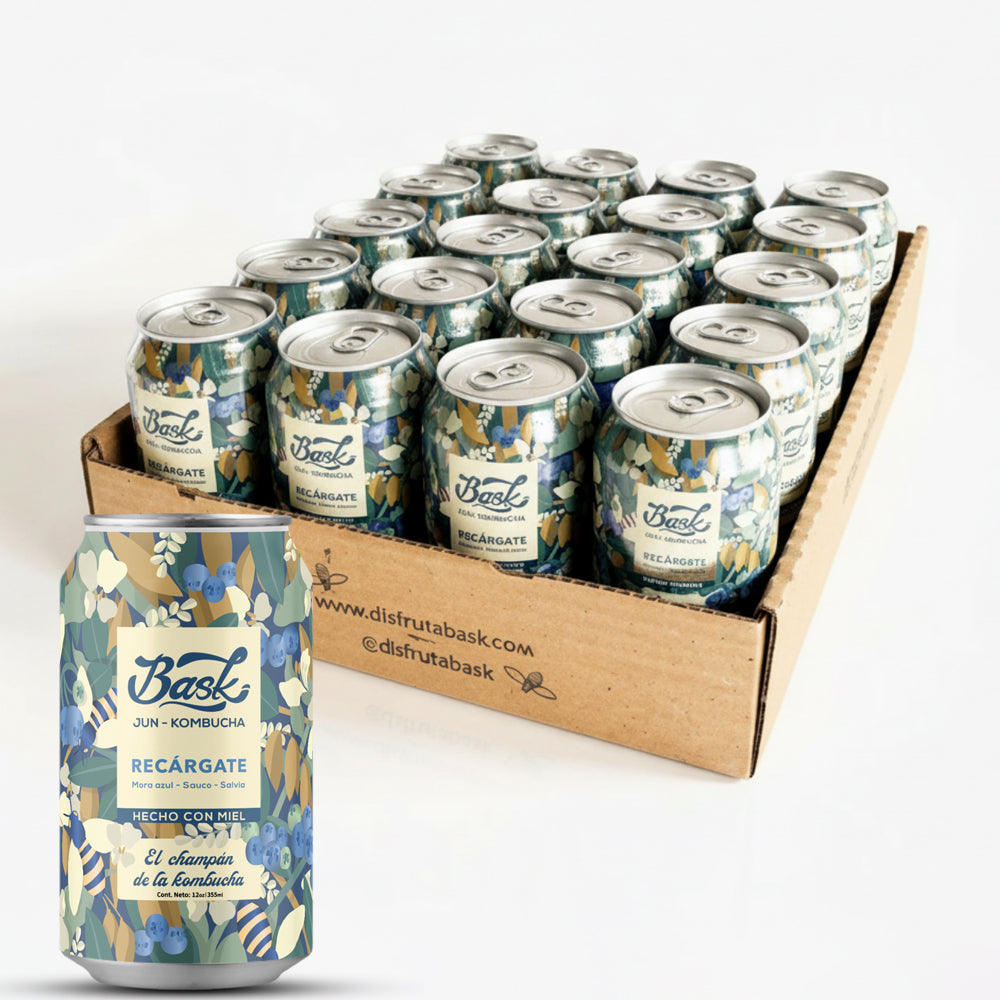 Recárgate Jun Kombucha de Moras con Sauco Salvia 355ml - Pack de 24 latas