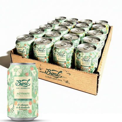 Actívate Jun Kombucha de Mate, Menta y Frambuesa 355ml - Pack de 24 latas - disfrutabask