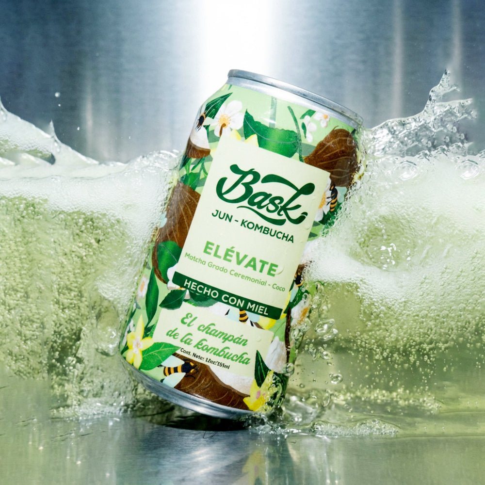 Elévate Jun Kombucha de Matcha Grado Ceremonial con Coco 355ml - Pack de 24 latas - disfrutabask