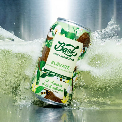 Elévate Jun Kombucha de Matcha Grado Ceremonial con Coco 355ml - Pack de 24 latas - disfrutabask