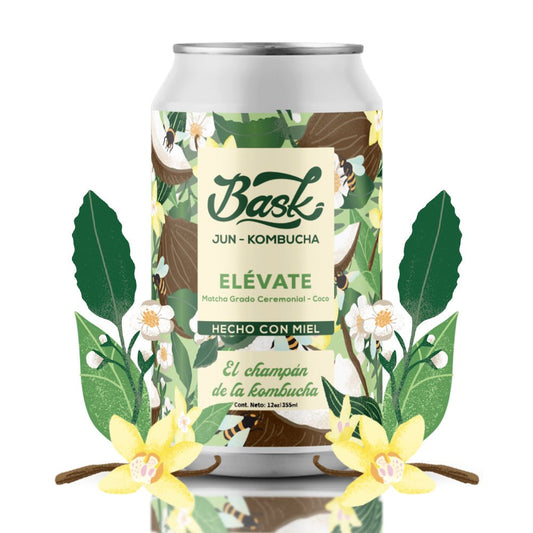 Elévate Jun Kombucha de Matcha Grado Ceremonial con Coco 355ml - Pack de 24 latas - disfrutabask